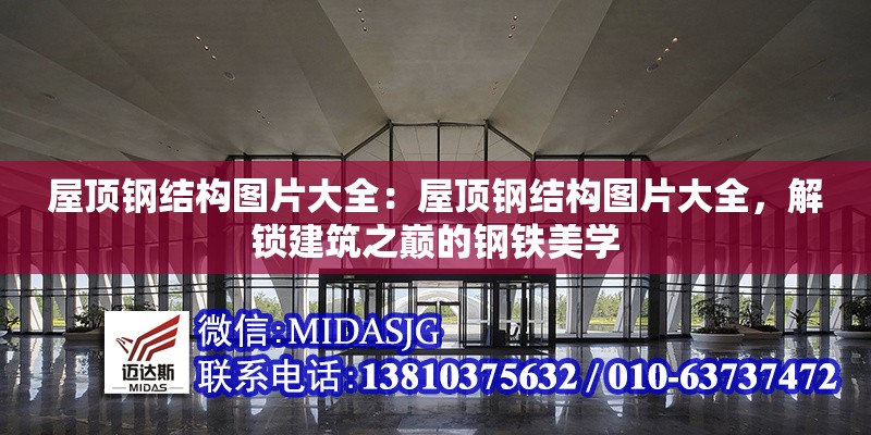 屋頂鋼結(jié)構(gòu)圖片大全：屋頂鋼結(jié)構(gòu)圖片大全，解鎖建筑之巔的鋼鐵美學(xué)