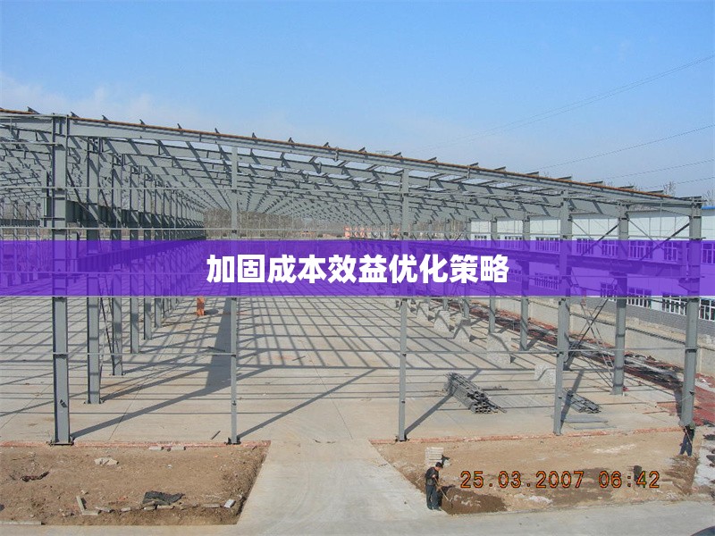 加固成本效益優(yōu)化策略