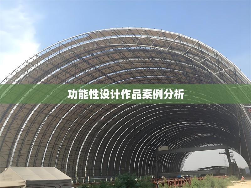 功能性設(shè)計作品案例分析 行業(yè)新聞 第1張