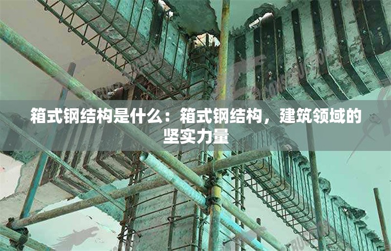 箱式鋼結(jié)構(gòu)是什么：箱式鋼結(jié)構(gòu)，建筑領(lǐng)域的堅(jiān)實(shí)力量