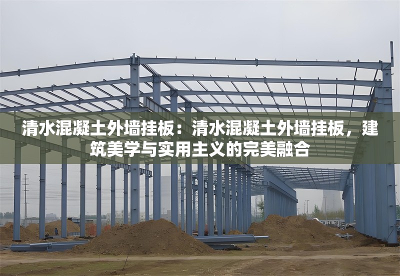 清水混凝土外墻掛板:清水混凝土外墻掛板,建筑美學(xué)與實(shí)用主義的完美融合