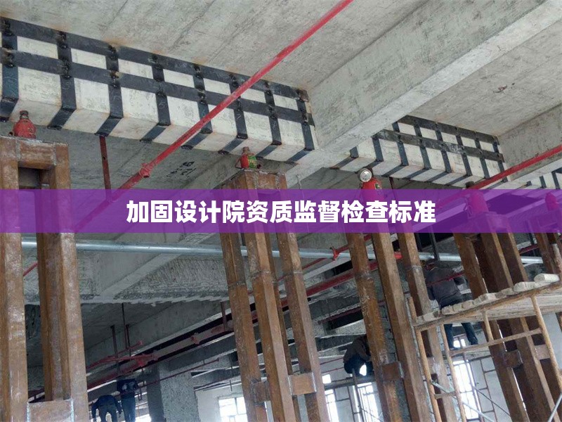 加固設計院資質監(jiān)督檢查標準