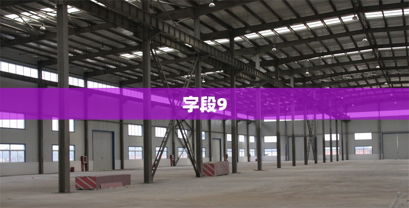 字段9