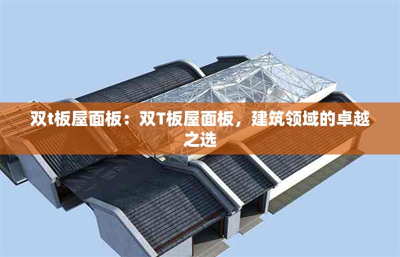 雙t板屋面板：雙T板屋面板，建筑領(lǐng)域的卓越之選