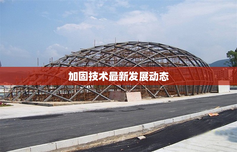 加固技術(shù)最新發(fā)展動(dòng)態(tài) 行業(yè)新聞 第1張