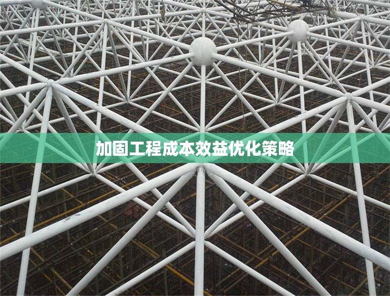 加固工程成本效益優(yōu)化策略 行業(yè)新聞 第1張