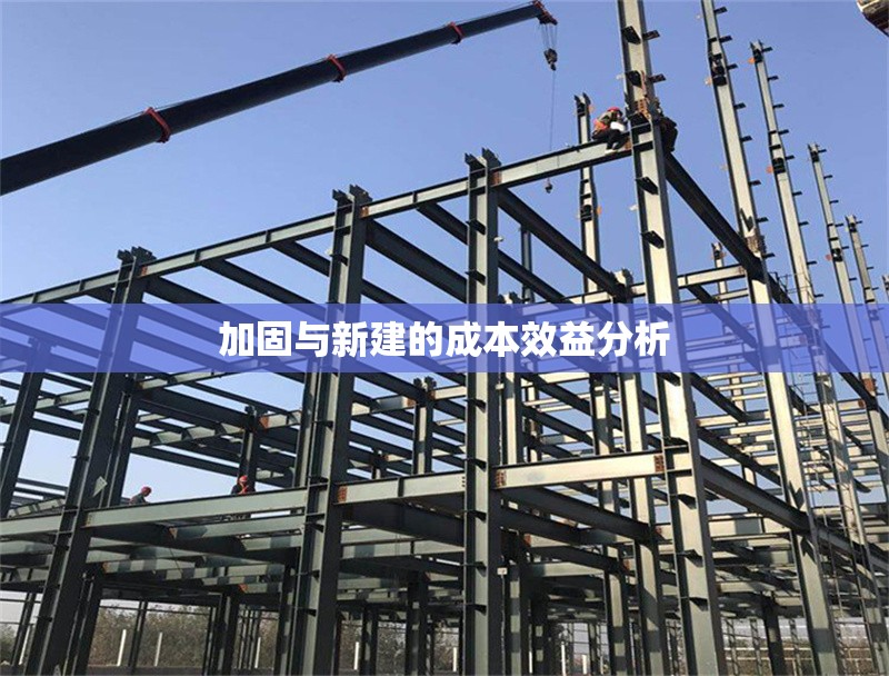 加固與新建的成本效益分析