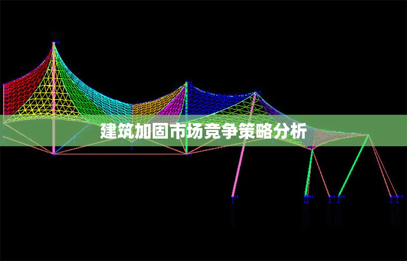 建筑加固市場(chǎng)競(jìng)爭(zhēng)策略分析