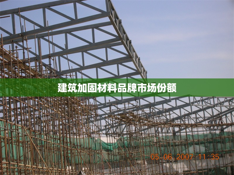 建筑加固材料品牌市場份額