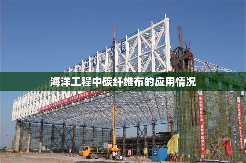 海洋工程中碳纖維布的應(yīng)用情況 行業(yè)新聞 第1張