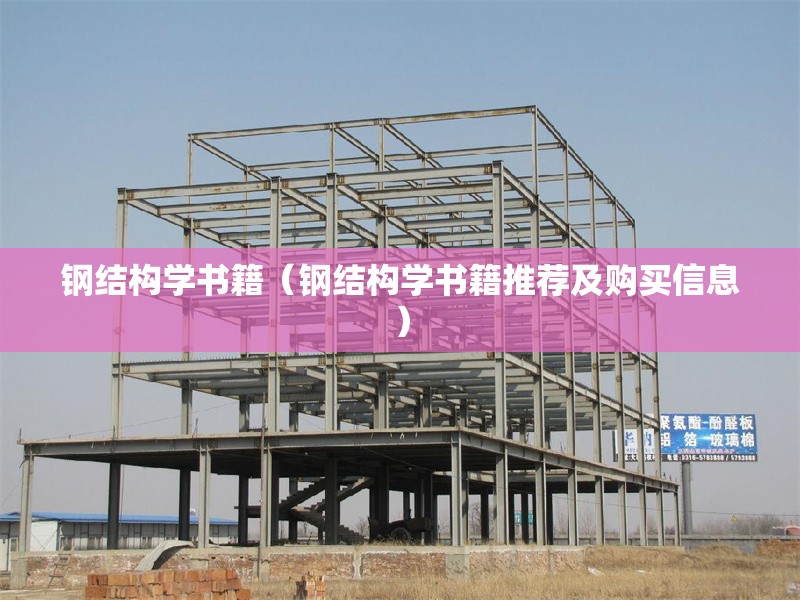 鋼結(jié)構(gòu)學(xué)書籍（鋼結(jié)構(gòu)學(xué)書籍推薦及購買信息）