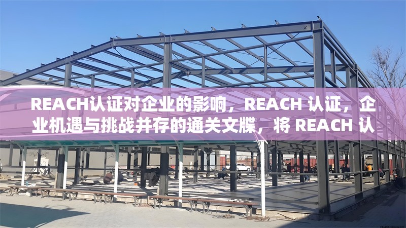 REACH認(rèn)證對(duì)企業(yè)的影響，REACH 認(rèn)證，企業(yè)機(jī)遇與挑戰(zhàn)并存的通關(guān)文牒，將 REACH 認(rèn)證比喻成通關(guān)文牒，形象地體現(xiàn)出它對(duì)企業(yè)的重要性，