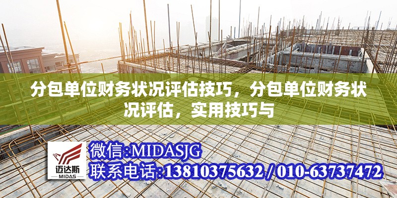 分包單位財(cái)務(wù)狀況評(píng)估技巧，分包單位財(cái)務(wù)狀況評(píng)估，實(shí)用技巧與