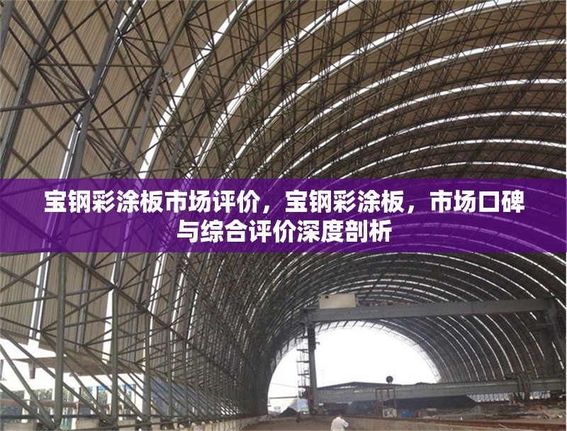寶鋼彩涂板市場評價，寶鋼彩涂板，市場口碑與綜合評價深度剖析