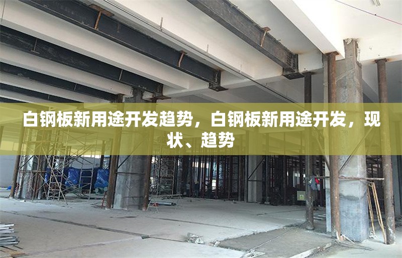 白鋼板新用途開發(fā)趨勢(shì)，白鋼板新用途開發(fā)，現(xiàn)狀、趨勢(shì)