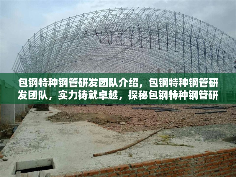 包鋼特種鋼管研發(fā)團隊介紹，包鋼特種鋼管研發(fā)團隊，實力鑄就卓越，探秘包鋼特種鋼管研發(fā)團隊，包鋼特種鋼管研發(fā)團隊，創(chuàng)新驅(qū)動的鋼鐵先鋒，包鋼特種鋼管研發(fā)團隊風采錄