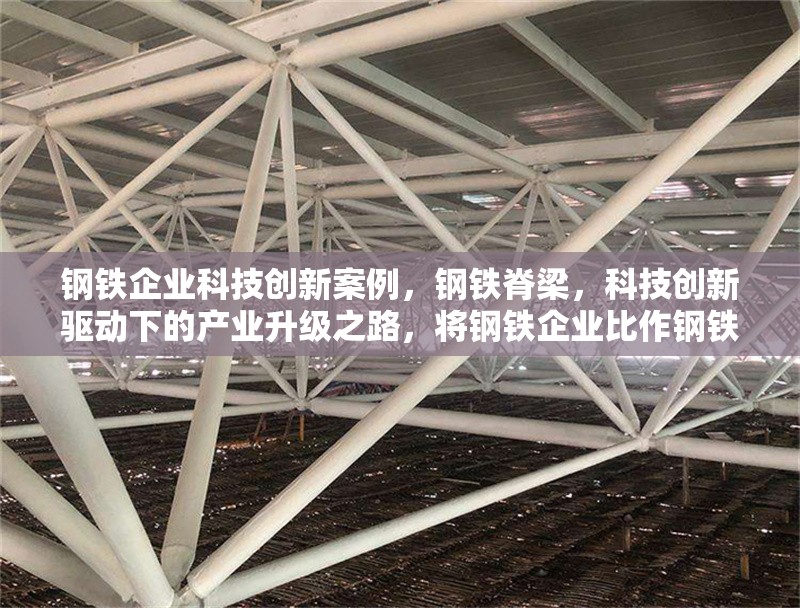 鋼鐵企業(yè)科技創(chuàng)新案例，鋼鐵脊梁，科技創(chuàng)新驅(qū)動(dòng)下的產(chǎn)業(yè)升級(jí)之路，將鋼鐵企業(yè)比作鋼鐵脊梁，突出其在工業(yè)中的重要地位?？萍紕?chuàng)新驅(qū)動(dòng)直接點(diǎn)明核心主題，產(chǎn)業(yè)升級(jí)之路則體現(xiàn)了通過科技創(chuàng)新帶來的積極變化和發(fā)展方向，