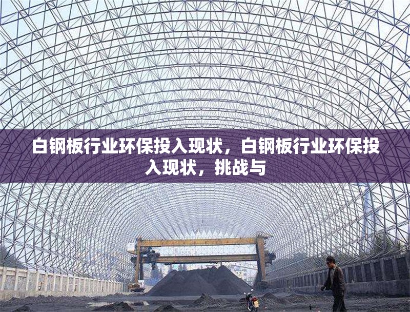 白鋼板行業(yè)環(huán)保投入現(xiàn)狀，白鋼板行業(yè)環(huán)保投入現(xiàn)狀，挑戰(zhàn)與