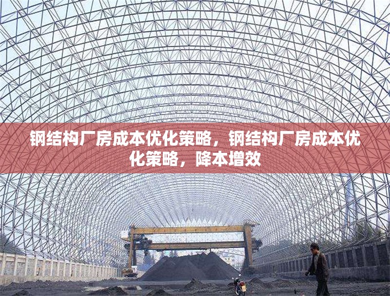 鋼結(jié)構(gòu)廠房成本優(yōu)化策略，鋼結(jié)構(gòu)廠房成本優(yōu)化策略，降本增效