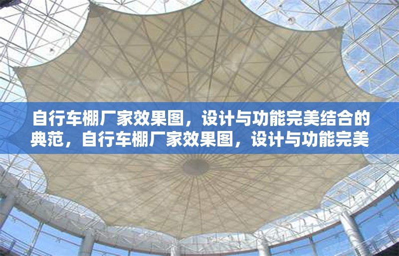 自行車棚廠家效果圖，設(shè)計(jì)與功能完美結(jié)合的典范，自行車棚廠家效果圖，設(shè)計(jì)與功能完美融合