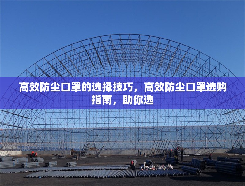 高效防塵口罩的選擇技巧，高效防塵口罩選購指南，助你選