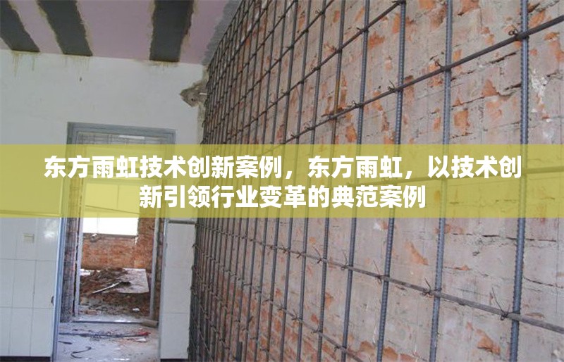 東方雨虹技術(shù)創(chuàng)新案例，東方雨虹，以技術(shù)創(chuàng)新引領(lǐng)行業(yè)變革的典范案例