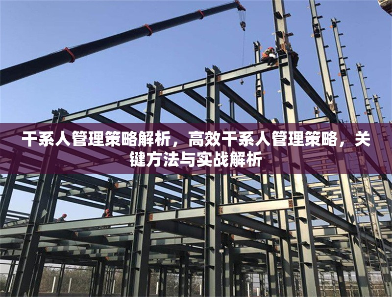 干系人管理策略解析，高效干系人管理策略，關鍵方法與實戰(zhàn)解析 行業(yè)新聞 第1張