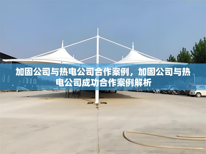 加固公司與熱電公司合作案例，加固公司與熱電公司成功合作案例解析
