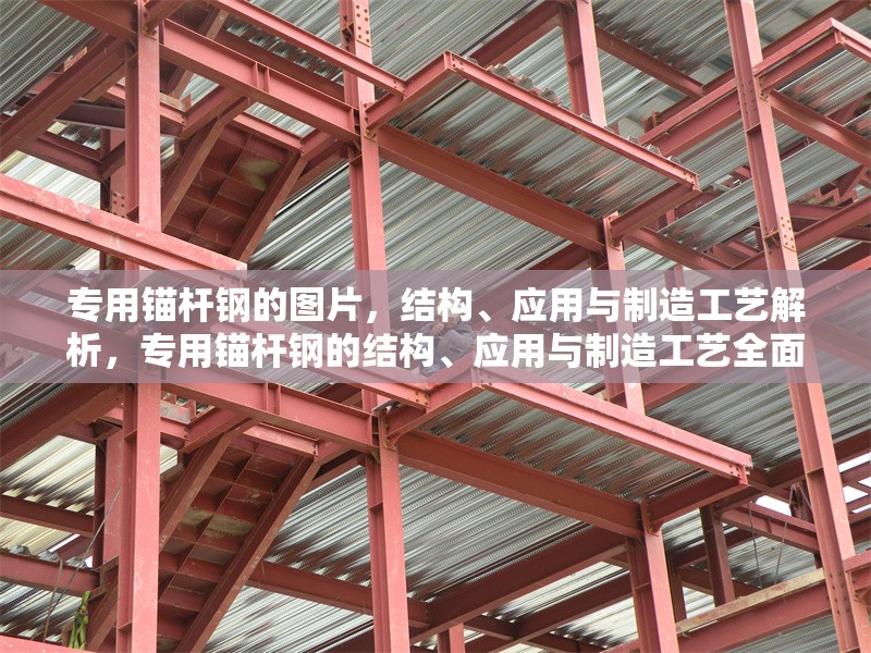 專用錨桿鋼的圖片，結(jié)構(gòu)、應(yīng)用與制造工藝解析，專用錨桿鋼的結(jié)構(gòu)、應(yīng)用與制造工藝全面解析