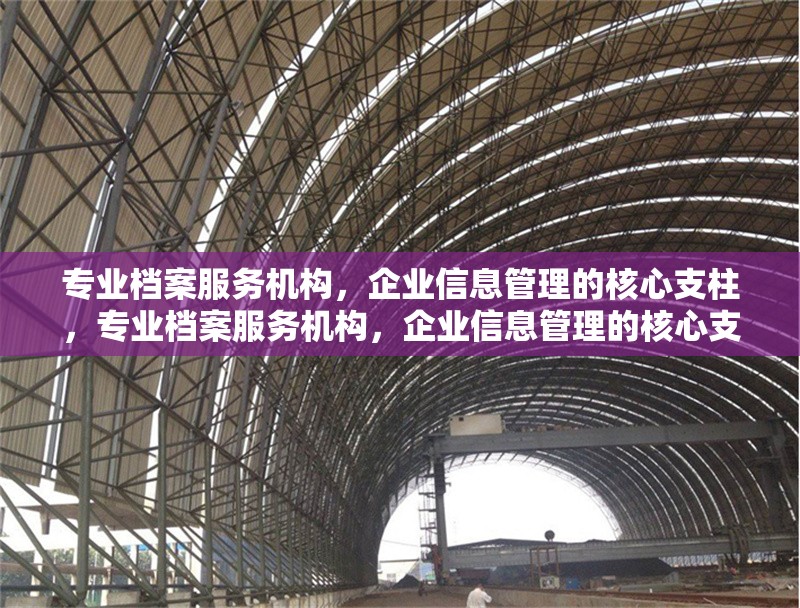 專業(yè)檔案服務(wù)機構(gòu)，企業(yè)信息管理的核心支柱，專業(yè)檔案服務(wù)機構(gòu)，企業(yè)信息管理的核心支柱