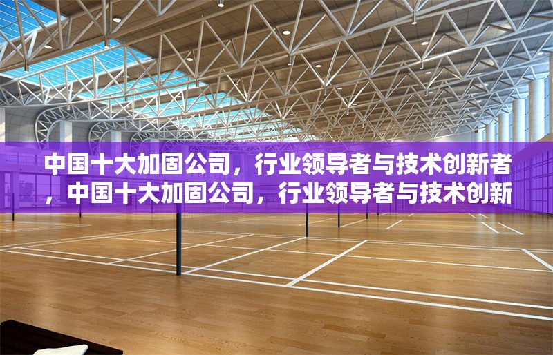 中國十大加固公司，行業(yè)領(lǐng)導(dǎo)者與技術(shù)創(chuàng)新者，中國十大加固公司，行業(yè)領(lǐng)導(dǎo)者與技術(shù)創(chuàng)新者盤點(diǎn) 行業(yè)新聞