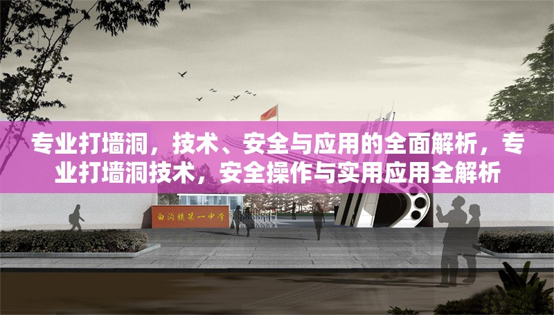 專業(yè)打墻洞，技術(shù)、安全與應(yīng)用的全面解析，專業(yè)打墻洞技術(shù)，安全操作與實(shí)用應(yīng)用全解析