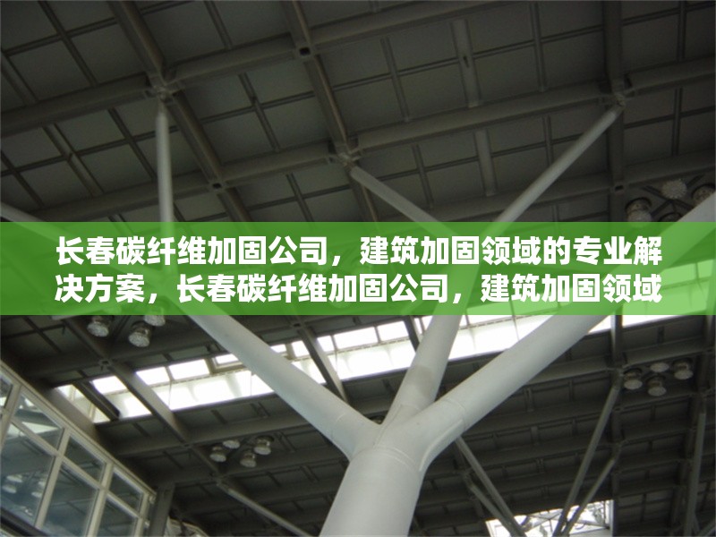 長春碳纖維加固公司，建筑加固領(lǐng)域的專業(yè)解決方案，長春碳纖維加固公司，建筑加固領(lǐng)域的專業(yè)解決方案專家