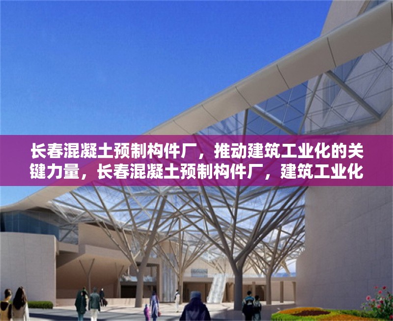 長春混凝土預(yù)制構(gòu)件廠，推動(dòng)建筑工業(yè)化的關(guān)鍵力量，長春混凝土預(yù)制構(gòu)件廠，建筑工業(yè)化的核心驅(qū)動(dòng)力