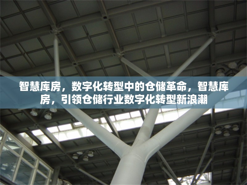智慧庫房，數(shù)字化轉型中的倉儲革命，智慧庫房，引領倉儲行業(yè)數(shù)字化轉型新浪潮 行業(yè)新聞