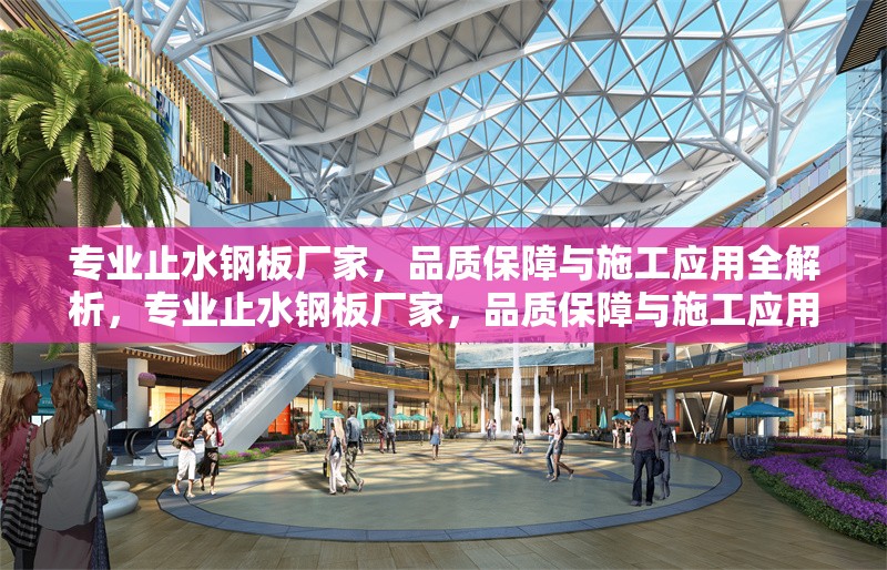 專業(yè)止水鋼板廠家，品質(zhì)保障與施工應(yīng)用全解析，專業(yè)止水鋼板廠家，品質(zhì)保障與施工應(yīng)用全解析