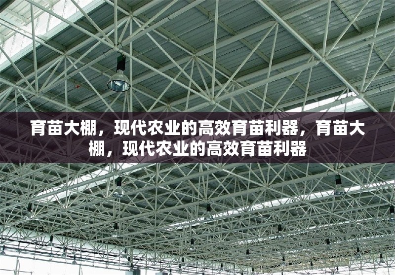 育苗大棚，現(xiàn)代農(nóng)業(yè)的高效育苗利器，育苗大棚，現(xiàn)代農(nóng)業(yè)的高效育苗利器