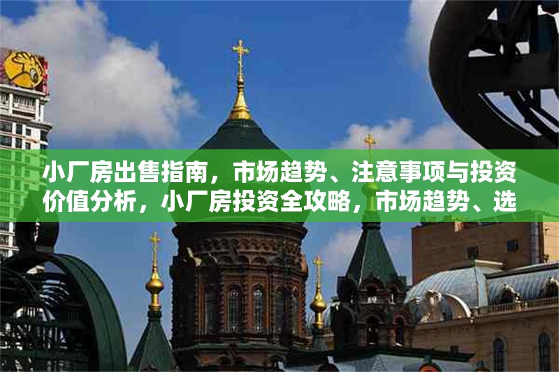 小廠房出售指南，市場趨勢、注意事項與投資價值分析，小廠房投資全攻略，市場趨勢、選購要點與價值評估