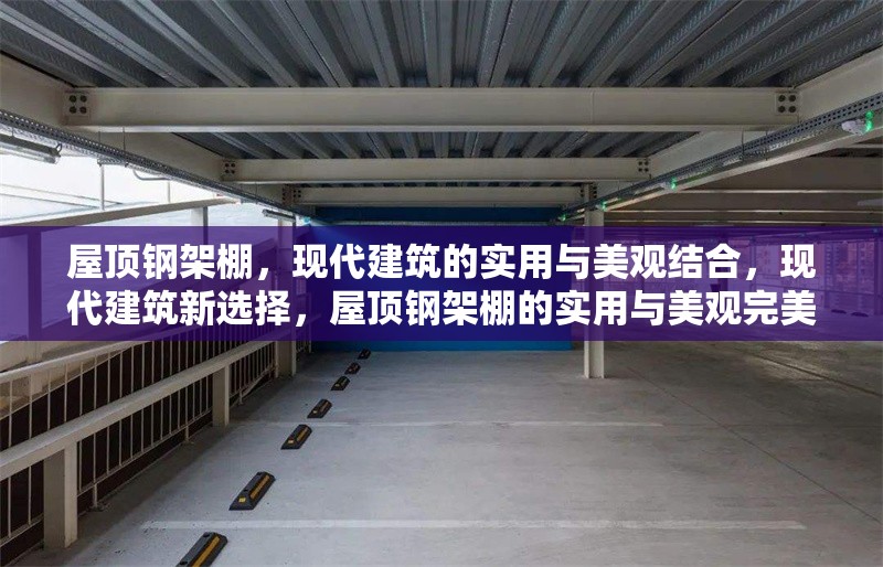 屋頂鋼架棚，現(xiàn)代建筑的實(shí)用與美觀結(jié)合，現(xiàn)代建筑新選擇，屋頂鋼架棚的實(shí)用與美觀完美融合