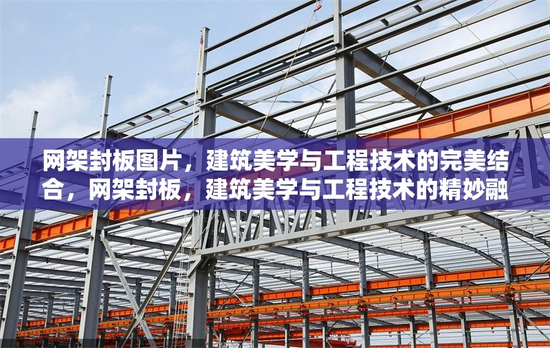 網(wǎng)架封板圖片，建筑美學(xué)與工程技術(shù)的完美結(jié)合，網(wǎng)架封板，建筑美學(xué)與工程技術(shù)的精妙融合，網(wǎng)架封板，建筑美學(xué)與工程技術(shù)的精妙融合