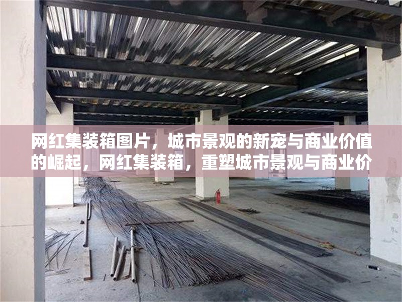 網(wǎng)紅集裝箱圖片，城市景觀的新寵與商業(yè)價(jià)值的崛起，網(wǎng)紅集裝箱，重塑城市景觀與商業(yè)價(jià)值的新潮流