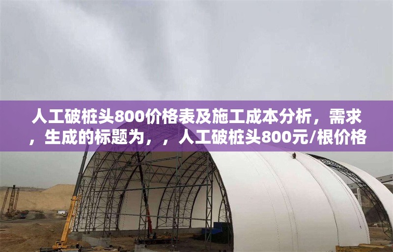 人工破樁頭800價格表及施工成本分析，需求，生成的標題為，，人工破樁頭800元/根價格表及施工成本詳細分析，中明確單價單位元/根以增強專業(yè)性，若實際計價方式為其他單位如元/立方米或元/延米，請?zhí)鎿Q對應(yīng)內(nèi)容。）