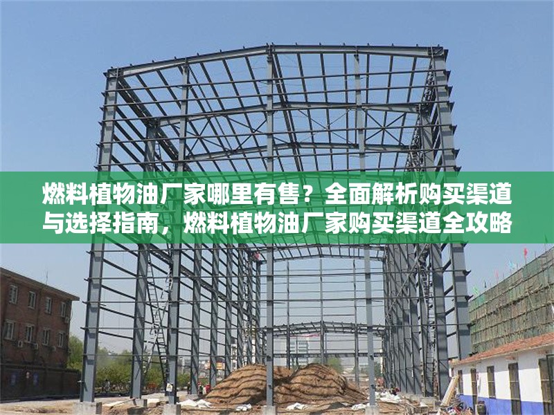 燃料植物油廠家哪里有售？全面解析購(gòu)買渠道與選擇指南，燃料植物油廠家購(gòu)買渠道全攻略，哪里買？怎么選？