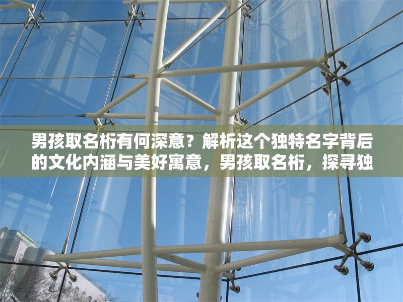 男孩取名桁有何深意？解析這個獨特名字背后的文化內(nèi)涵與美好寓意，男孩取名桁，探尋獨特名字背后的文化內(nèi)涵與美好寓意 行業(yè)新聞