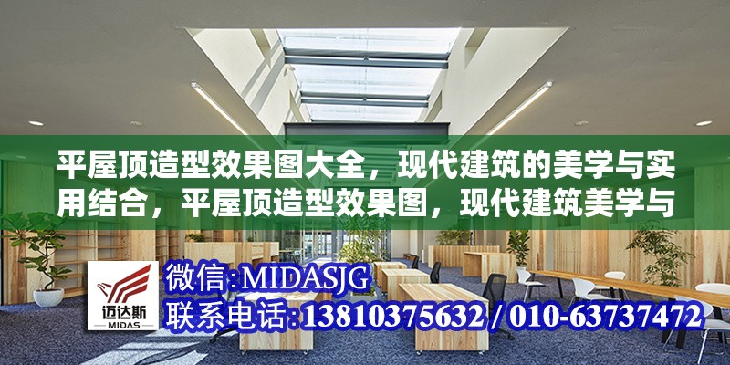 平屋頂造型效果圖大全，現(xiàn)代建筑的美學(xué)與實用結(jié)合，平屋頂造型效果圖，現(xiàn)代建筑美學(xué)與 行業(yè)新聞