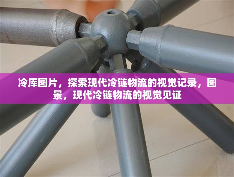冷庫圖片，探索現(xiàn)代冷鏈物流的視覺記錄，圖景，現(xiàn)代冷鏈物流的視覺見證
