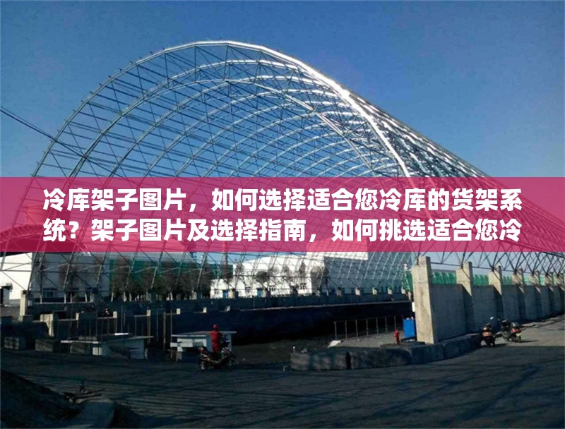 冷庫架子圖片，如何選擇適合您冷庫的貨架系統(tǒng)？架子圖片及選擇指南，如何挑選適合您冷庫的貨架系統(tǒng) 行業(yè)新聞