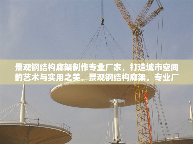 景觀鋼結(jié)構(gòu)廊架制作專業(yè)廠家，打造城市空間的藝術(shù)與實(shí)用之美，景觀鋼結(jié)構(gòu)廊架，專業(yè)廠家鑄就城市藝術(shù)實(shí)用之美