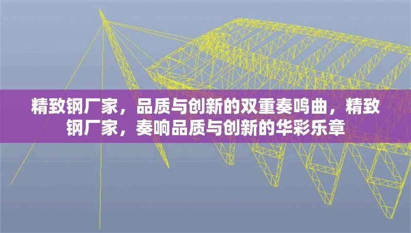 精致鋼廠家，品質(zhì)與創(chuàng)新的雙重奏鳴曲，精致鋼廠家，奏響品質(zhì)與創(chuàng)新的華彩樂章