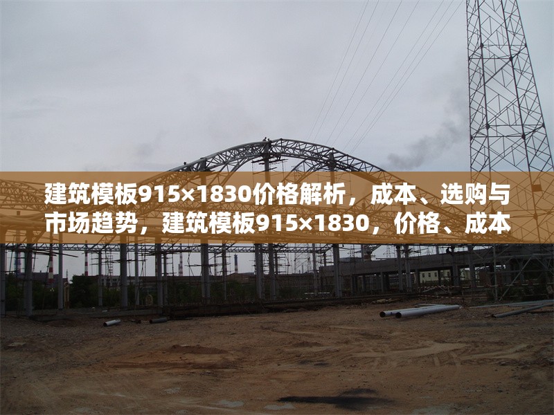 建筑模板915×1830價格解析，成本、選購與市場趨勢，建筑模板915×1830，價格、成本、選購及市場趨勢全 行業(yè)新聞